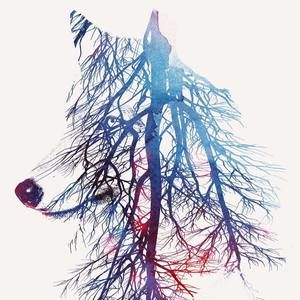 Meet your Posher, Alina